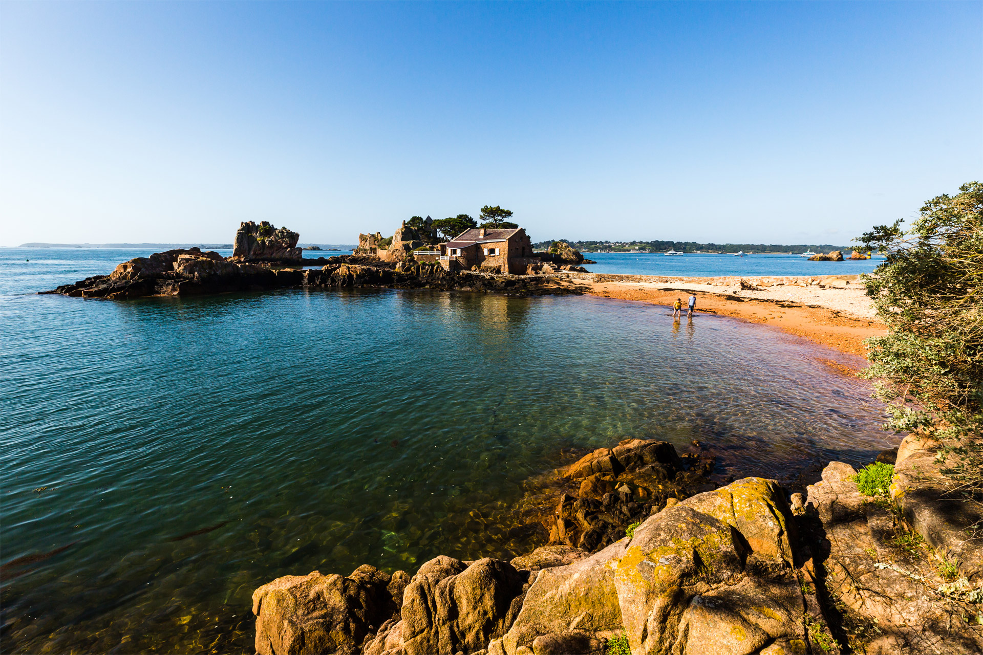 ïle du Guerzido, île de Bréhat