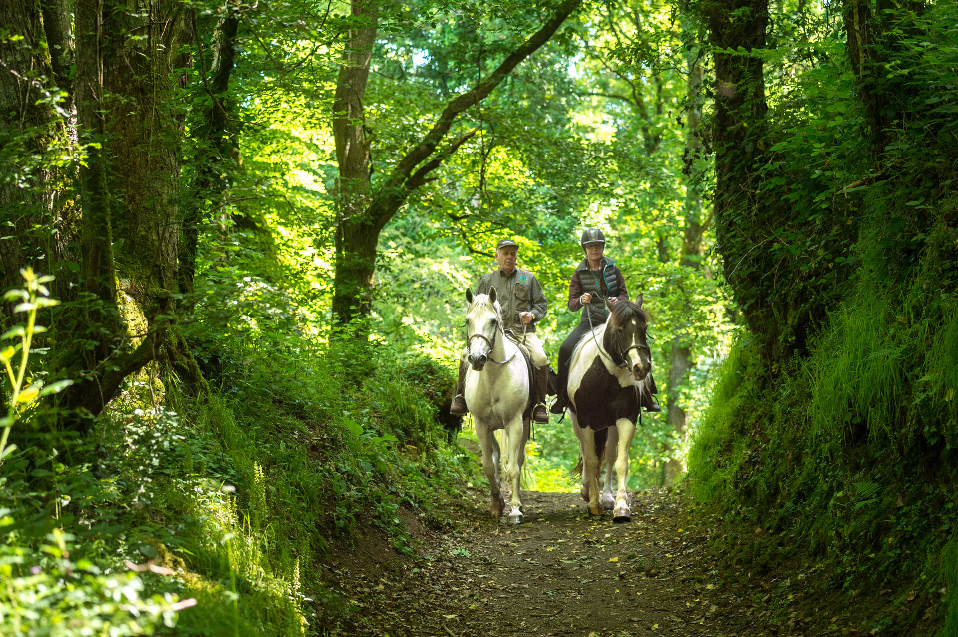 Balade à cheval dans la Vallée du Gouët