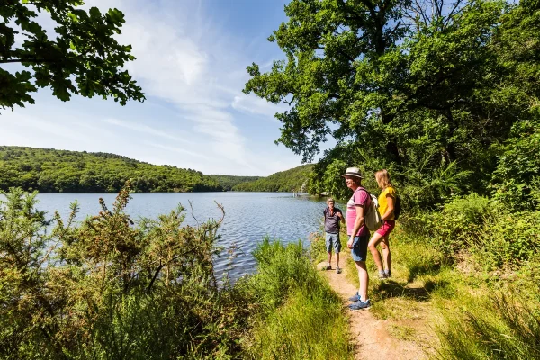 Tour du lac de Guerlédan à pied, Côtes d'Armor