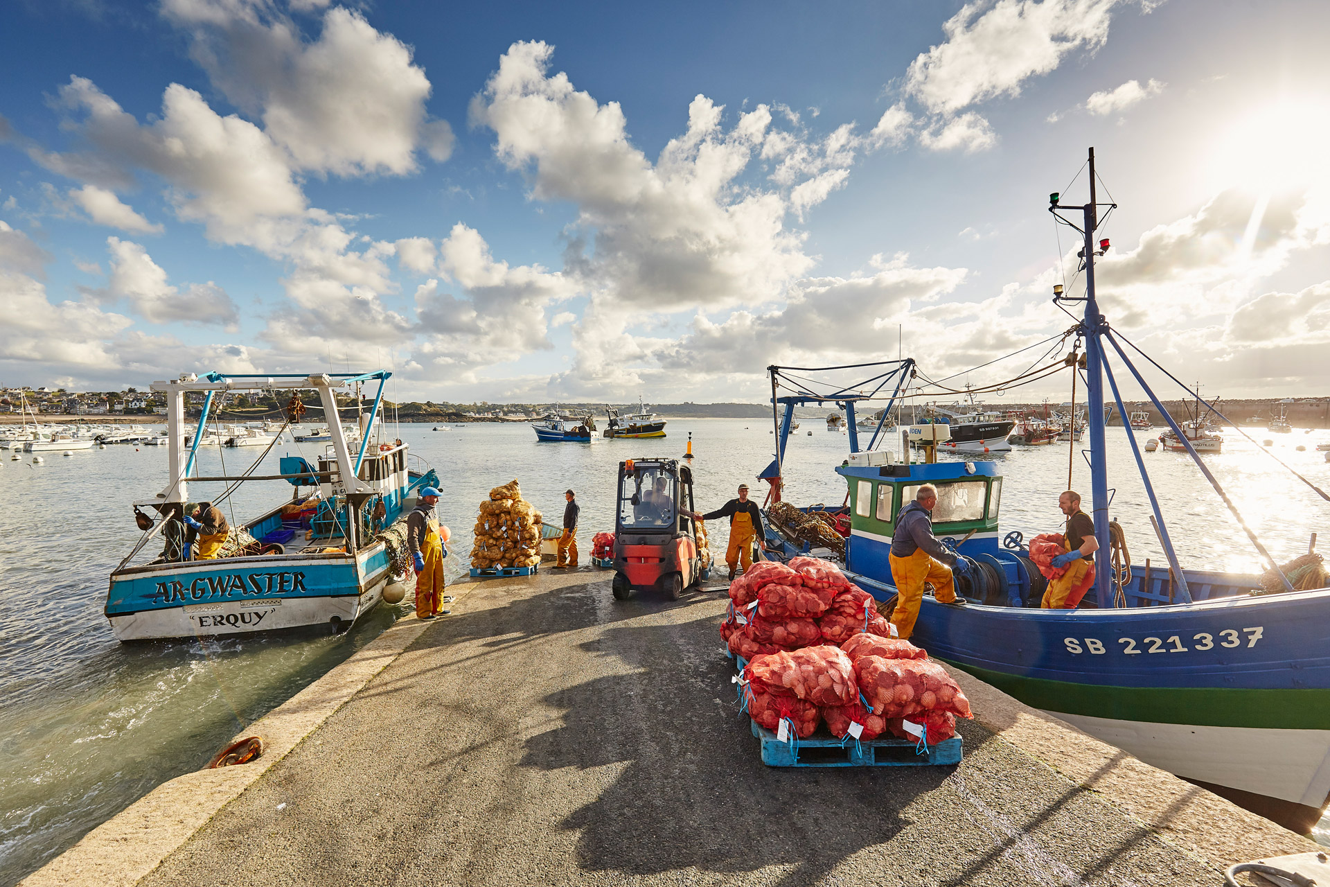 Port d'Erquy, Côtes d'Armor