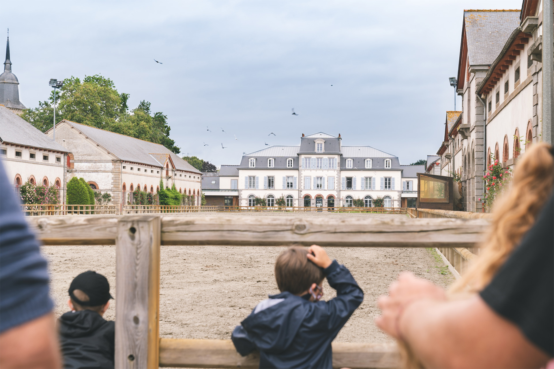 Haras de Lamballe