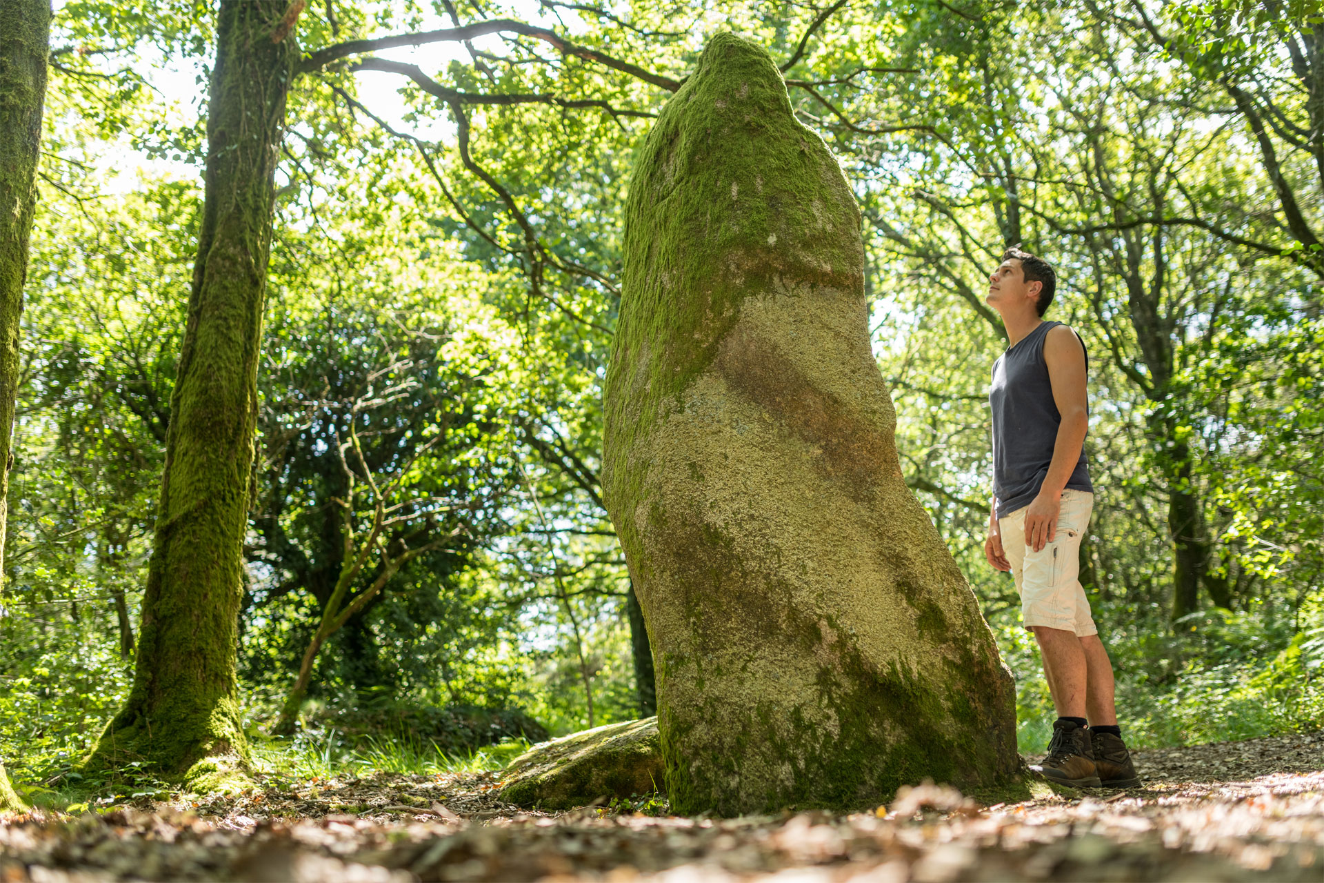 Menhir de Locarn