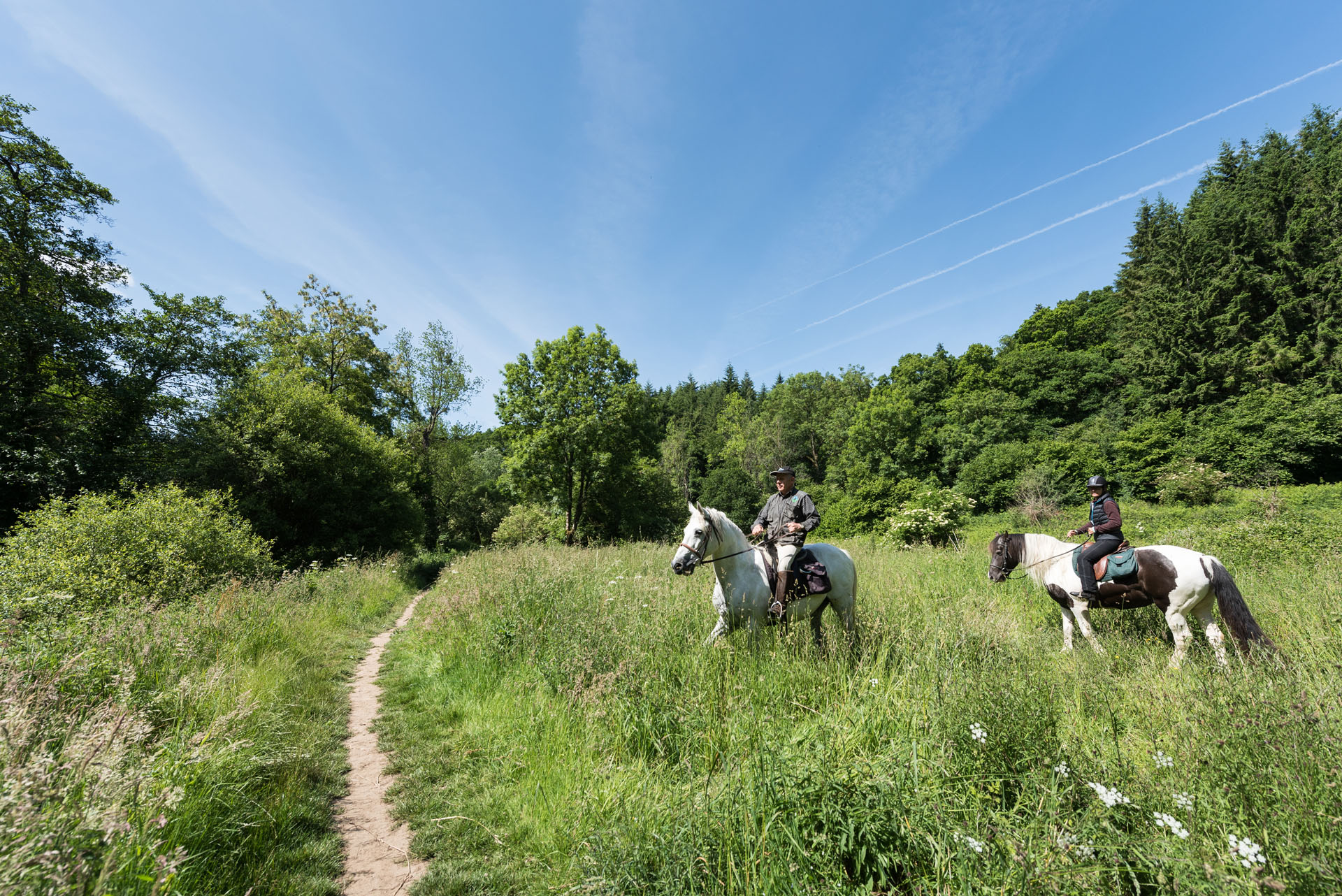 Equibreizh en Côtes d'Armor