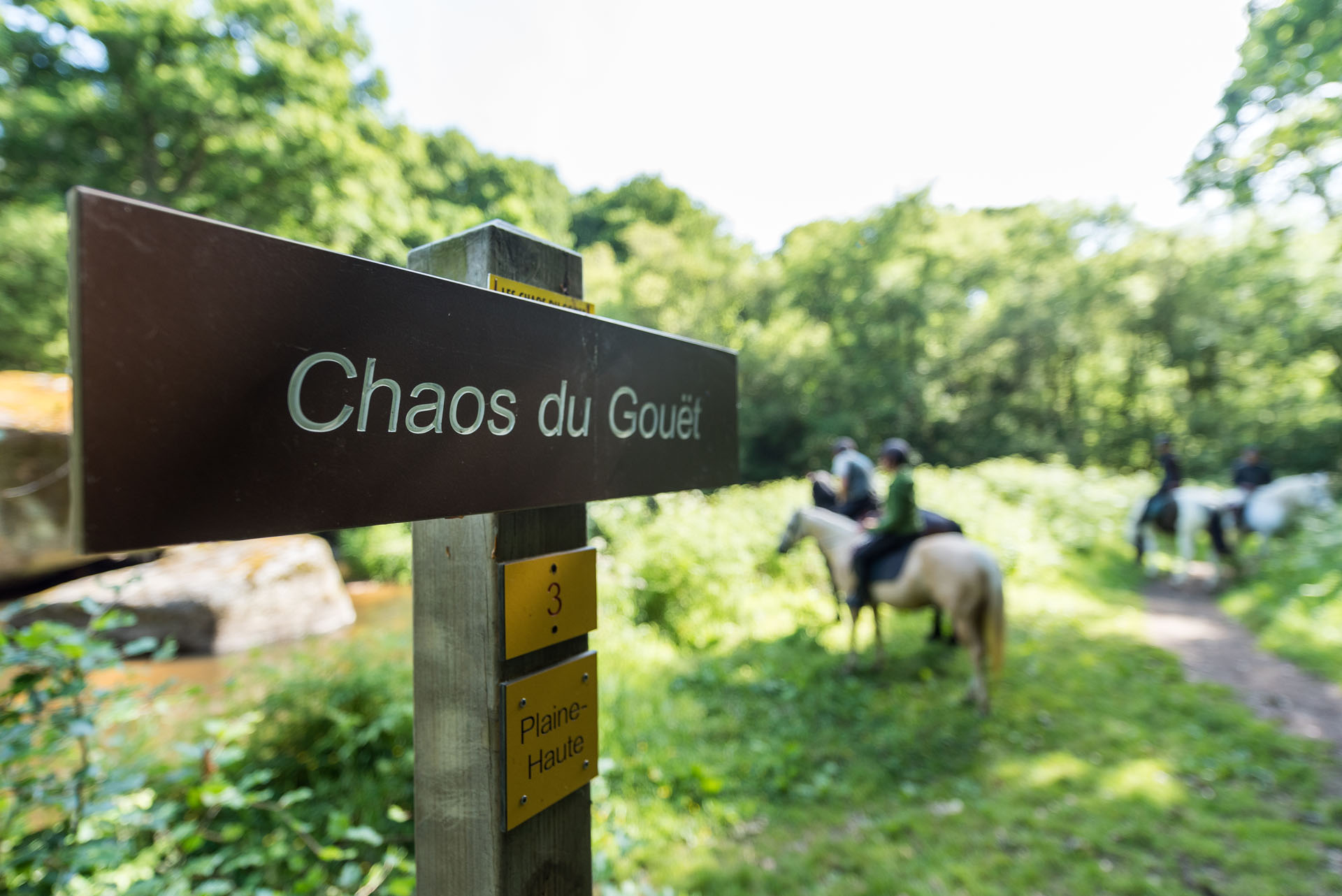 balade à cheval dans la vallée du Gouët, Plaintel