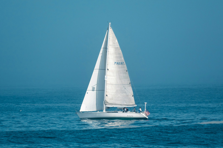 Voilier