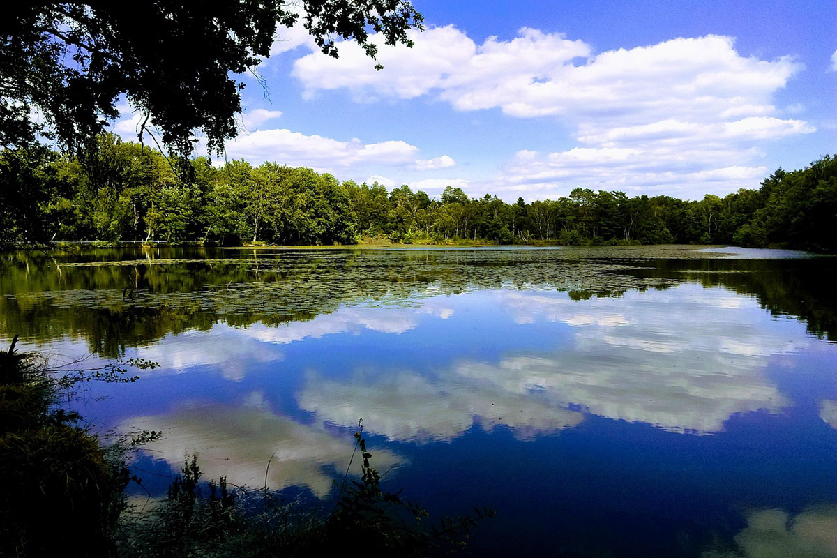 Etang