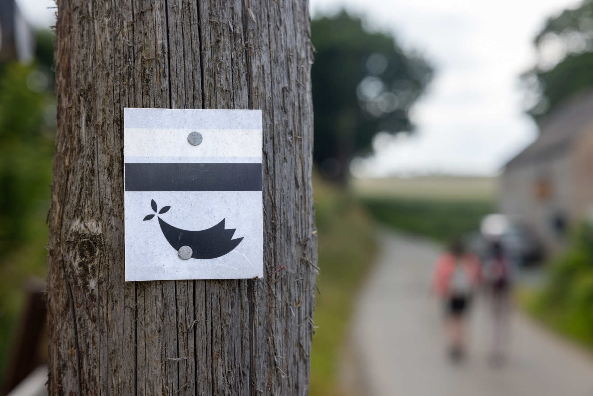 itinéraire mon tro breizh