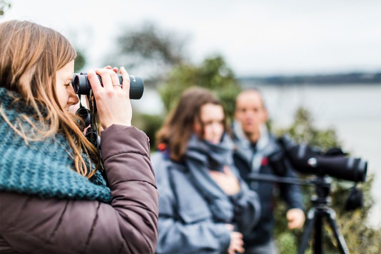 Observation d'oiseaux, Hillion, Côtes d'Armor