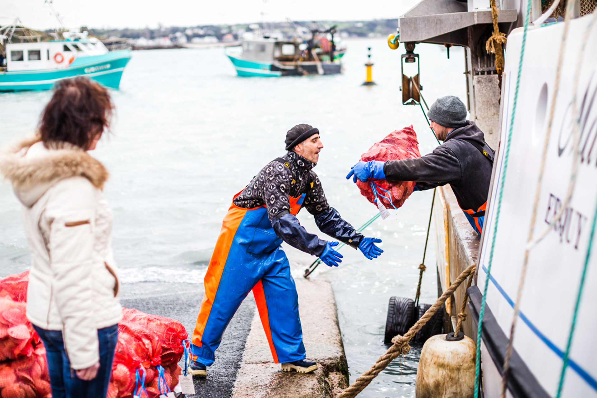 Déchargement coquille au port d'Erquy, Côtes d'Armor