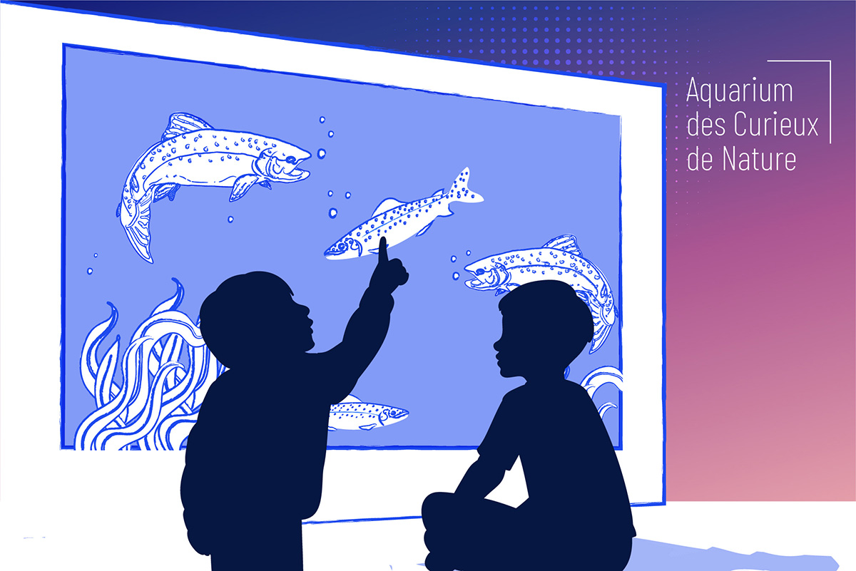 illustration aquarium curieux de la nature