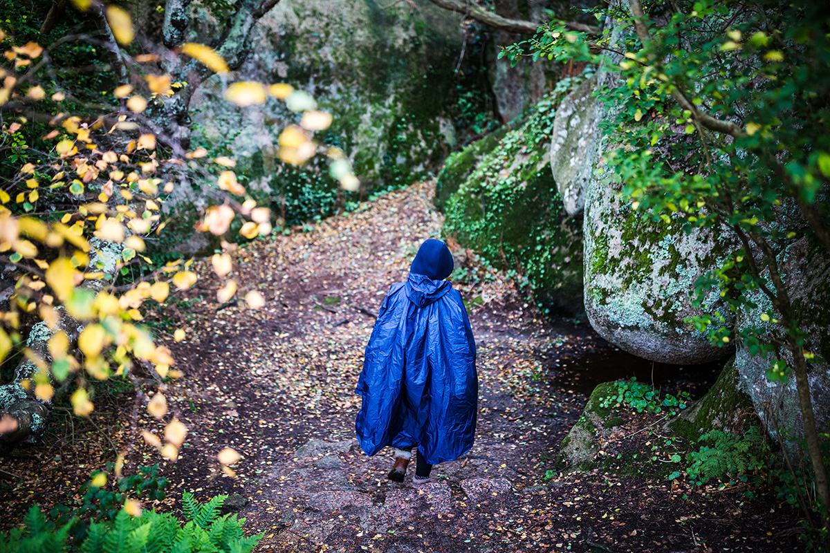 Enfant en forêt, Côtes d'Armor