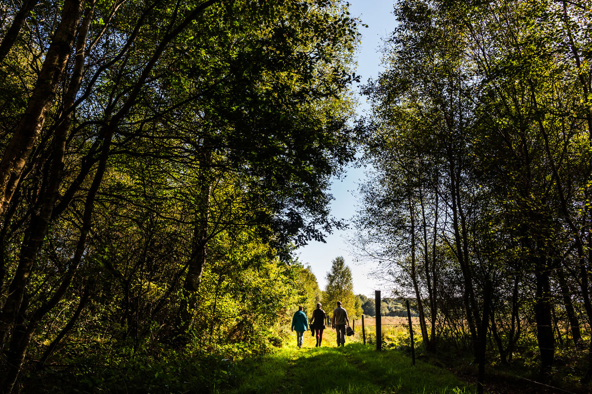 Foret; Côtes d'Armor