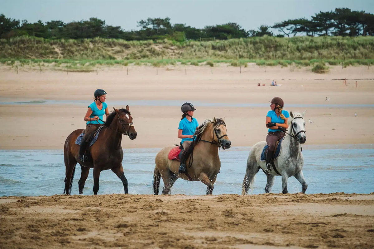 équitation sur la plage, Plurien, Côtes d'Armor