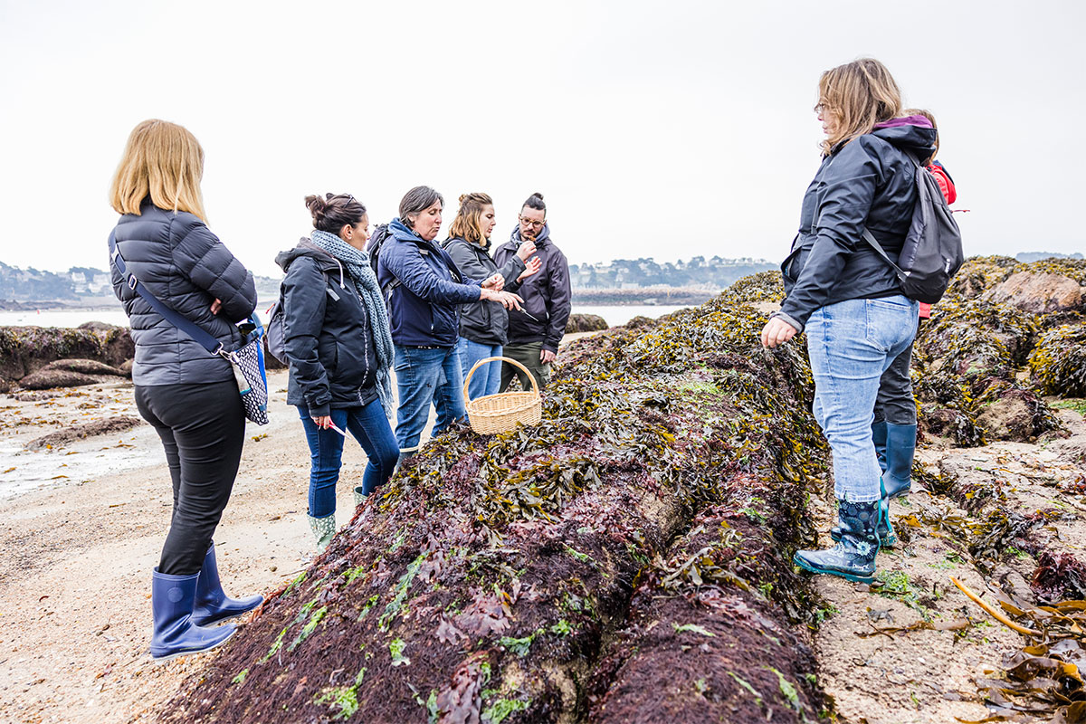 Activité origin'algues, Treberuden, Côtes d'Armor