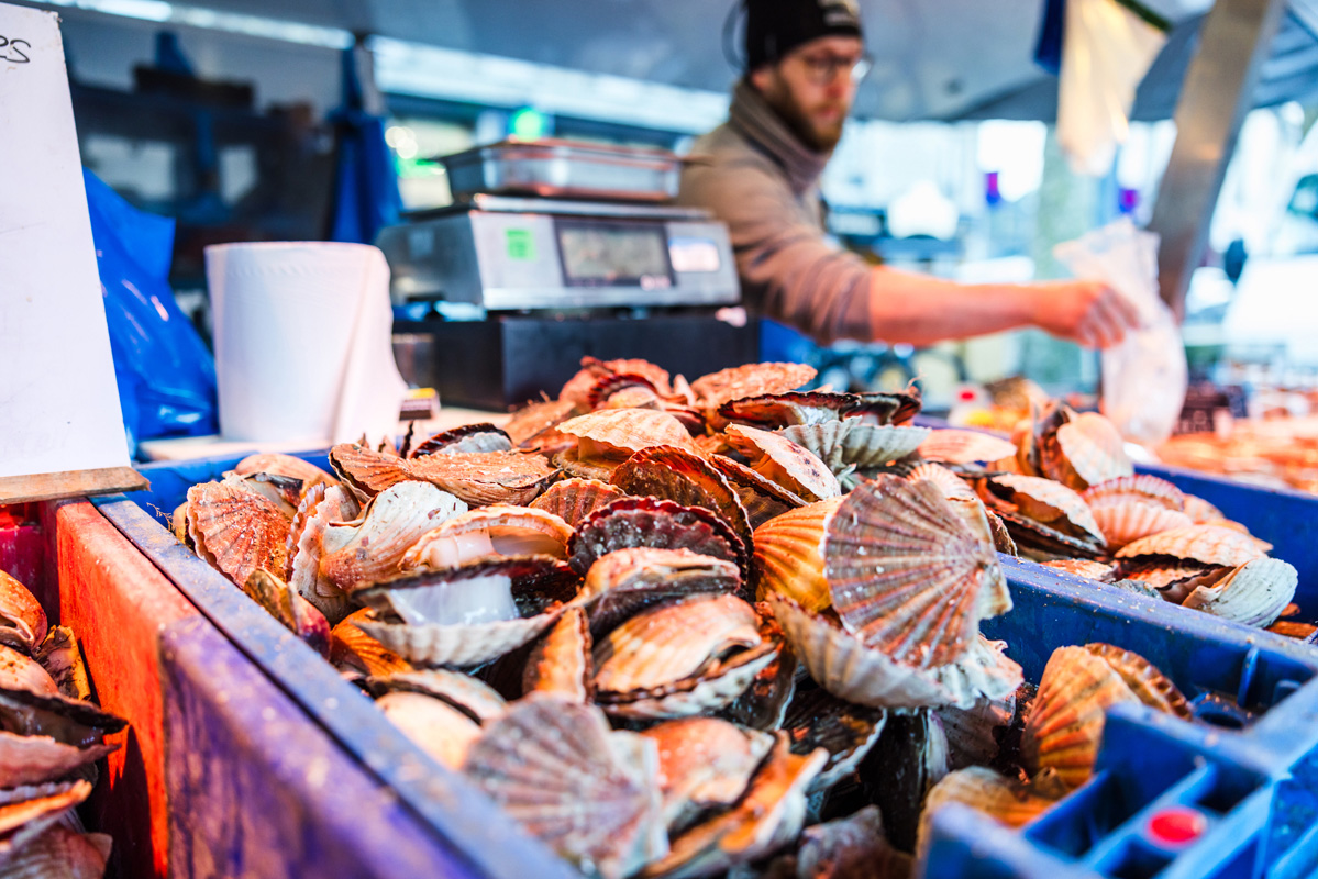 Coquille St-Jacques, Saint-Brieuc, Côtes d'Armor