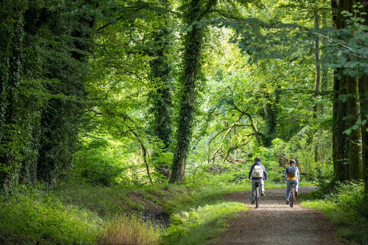 balade à vélo en forêt, Côtes d'Armor, Bretagne