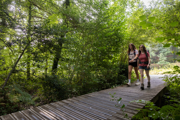 Ranodnnée à Bon-Repos-sur-Blavet, Côtes d'Armor, Bretagne