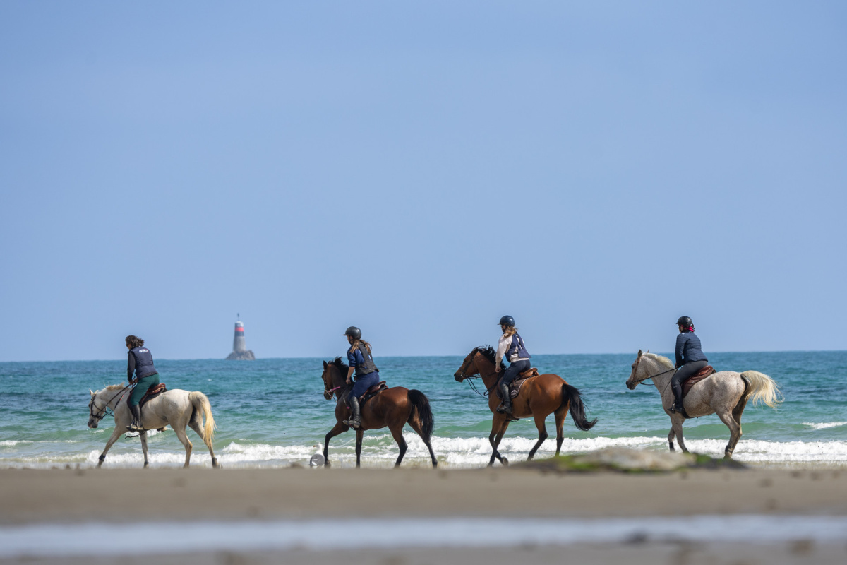 Balade à cheval, Côtes d'Armor, Bretagne